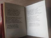 Adomas Mickevičius "Poezija" - nuotraukos Nr. 6