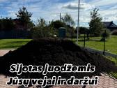 Juodžemis vejai ir augalamas Klaipėda