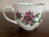 Puodelis Royal Worcester su lėkštute - nuotraukos Nr. 5