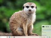 Acer Swift 315 su 15.6 coliu ekranu - nuotraukos Nr. 5