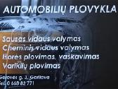 Automobilių plovykla Garliavoje variklių plovimas - nuotraukos Nr. 2