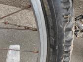 Vaikiškas kalnų dviratis X Rated 26 colių ratai