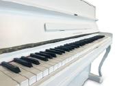 Pianas, Nordiska Piano Classica mod.110 Renner - nuotraukos Nr. 10