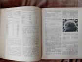 Dž. B. Merionas.fizika ir fizinis pasaulis,2 dalys - nuotraukos Nr. 6