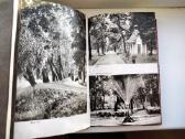 L. Žilevičius . Birštonas ir jo apylinkės.1958 m. - nuotraukos Nr. 8