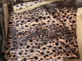 Audinis (leopardas)