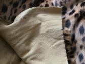 Audinis (leopardas) - nuotraukos Nr. 3