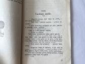 Satyros trupiniai 1928 m. - nuotraukos Nr. 6