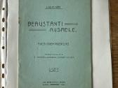 Beauštanti aušrelė 1913 m.