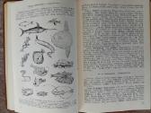 Knygos ir vadovėliai apie biologiją ir zoologiją - nuotraukos Nr. 6