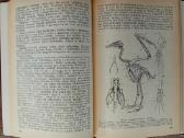 Knygos ir vadovėliai apie biologiją ir zoologiją - nuotraukos Nr. 9