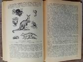 Knygos ir vadovėliai apie biologiją ir zoologiją - nuotraukos Nr. 10