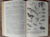 Knygos ir vadovėliai apie biologiją ir zoologiją - nuotraukos Nr. 11