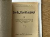 Sveika, Nepriklausomoji! 1928 m. - nuotraukos Nr. 2