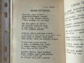 Sveika, Nepriklausomoji! 1928 m. - nuotraukos Nr. 6