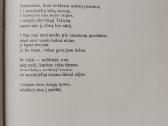 Psalmių knygos (Sigito Gedos vertimas) - nuotraukos Nr. 5