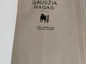 Gaudžia ragas - nuotraukos Nr. 2