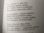 Kišeninė knyga "Mano Lietuva" - nuotraukos Nr. 8