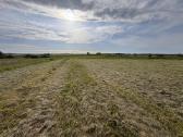 Klaipėdos r.sav Priekulės sen.,pangesų k - nuotraukos Nr. 17