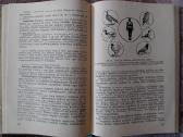 Epidemiologija - nuotraukos Nr. 8