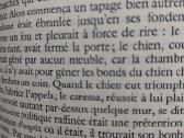 Stendhal- La Chartreuse de Parme - nuotraukos Nr. 3