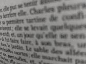 Gustave Flaubert-madame Bovary - nuotraukos Nr. 2