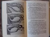 Šeimų vaisingumo sutrikimai - nuotraukos Nr. 6