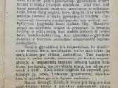 Lietuvio zodis lenkams 1940m - nuotraukos Nr. 2