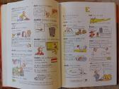 Larousse (anglų kalbos žodynas prad. mokykloms) - nuotraukos Nr. 8