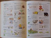 Larousse (anglų kalbos žodynas prad. mokykloms) - nuotraukos Nr. 9