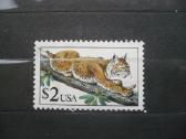 1990 m. Fauna - Bobas katinas