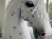 Hobby Horsing Arkliukai