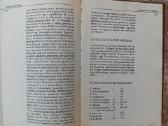 Teologijos ir Religijotyros žodynai - nuotraukos Nr. 13
