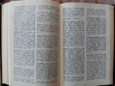 Teologijos ir Religijotyros žodynai - nuotraukos Nr. 18