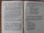 Literatūros mokslo terminų žodynėlis, 1961 - nuotraukos Nr. 9