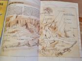 Art and History of Egypt - nuotraukos Nr. 9