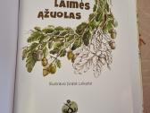 Laimės ąžuolas - nuotraukos Nr. 2