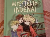 Mūsų miestelio indėnai
