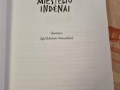 Mūsų miestelio indėnai - nuotraukos Nr. 2