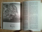 Ekologijos ir kulturos almanachas "kulgrinda"1990m - nuotraukos Nr. 5