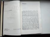 J. Pficneris. Vytautas kaip politikas - nuotraukos Nr. 4