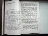 J. Pficneris. Vytautas kaip politikas - nuotraukos Nr. 7