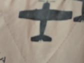 Aviatoriaus Vyriška Striukė (u.s.a.f. / Tikra Oda) - nuotraukos Nr. 8