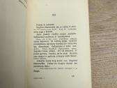 Siegfried Immerselbe atsijaunina 1934m. - nuotraukos Nr. 6