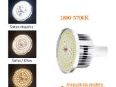 Pulteliu reguliuojamas 85w softbox šviestuvas - nuotraukos Nr. 3