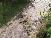 Stogų, fasadų valymas ir tinklų montavimas - nuotraukos Nr. 16