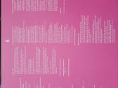 Planet P Project 1984 “Pink World 2 Lp - nuotraukos Nr. 5