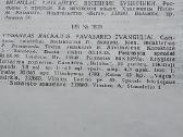 Pavasario žvanguliai - nuotraukos Nr. 3