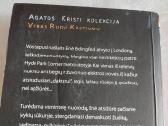 Vyras rudu kostiumu - nuotraukos Nr. 3