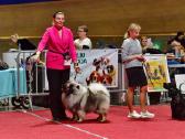 Volfšpicai (keeshond) rezervacijai - nuotraukos Nr. 32
